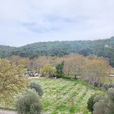 Naturla Gol Evi מלון *