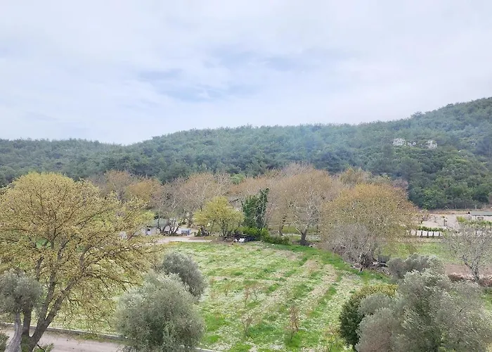 Naturla Gol Evi Szálloda *